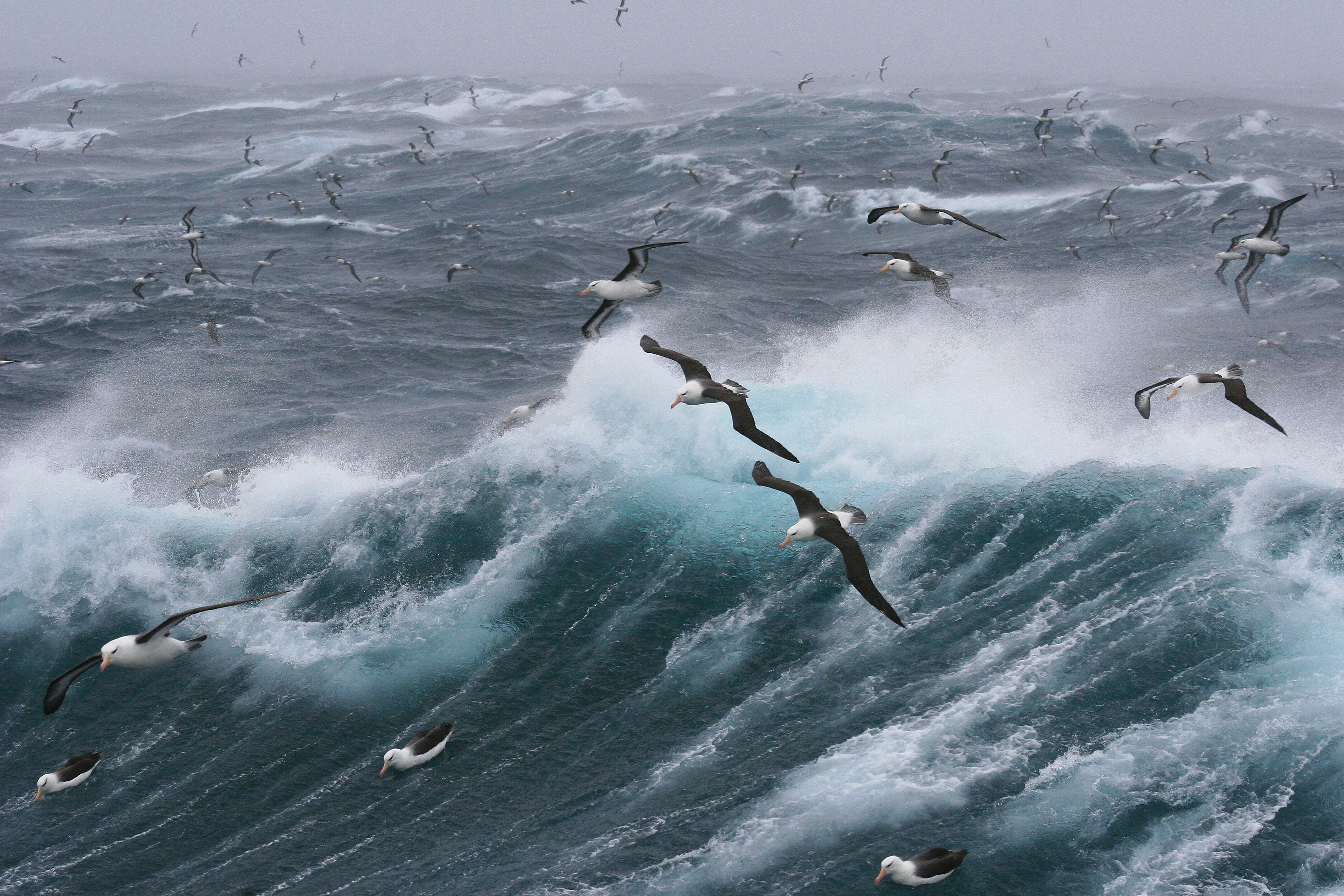 Sailboat navigating through rough seas in the Adriatic, Croatia.